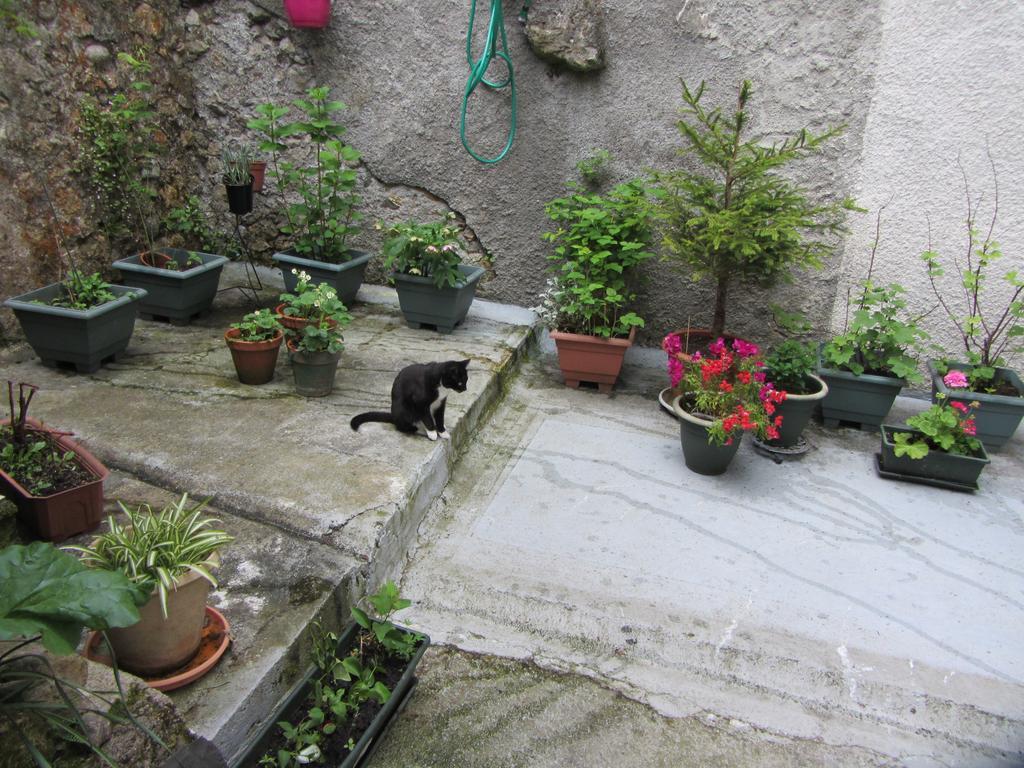 La Maison De Natasha Castillon-en-Couserans ภายนอก รูปภาพ